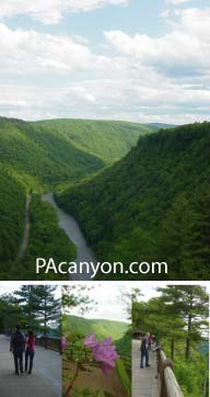 The PA Grand Canyon has many natural wonders and 
        beautiful scenic vistas 
        visited by thousands of travelers each year.