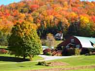 Frosty Hollow Bed and Breakfast