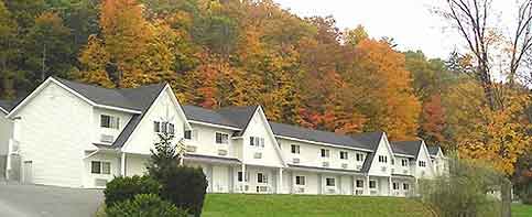 The Falls Motel