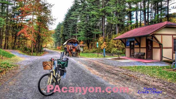 Pine Creek Rail Trail Darling Run.