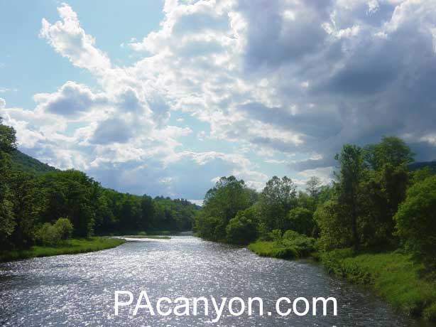 PA Grand Canyon. Crossing Pine Creek at Forest road.